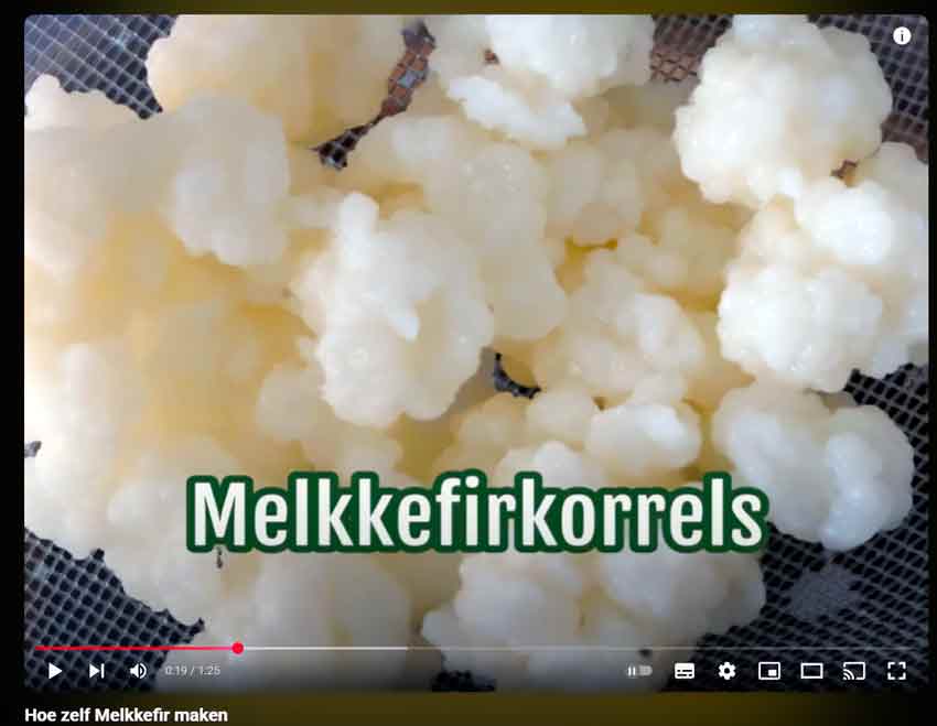 Video-instructie melkkefir maken - YouTube