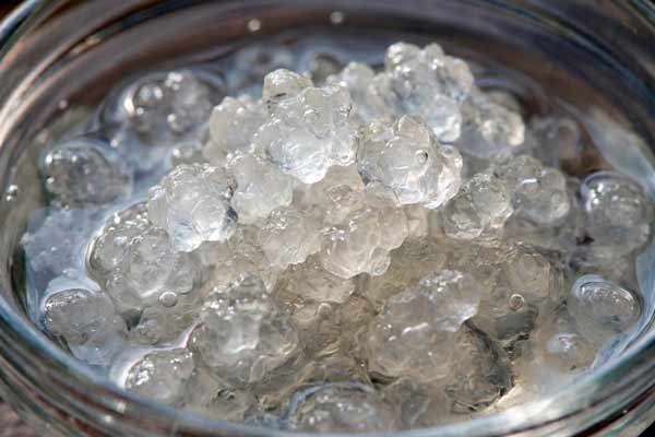 Waterkefirkorrels met citroen en vijg